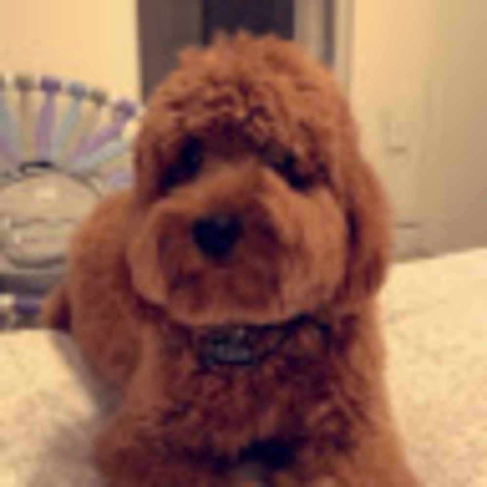 Meet your Posher, Mariana